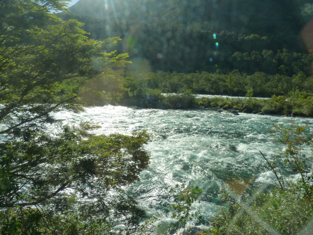 Foto: Parque Nacional Vicente Pérez Rosales. - Osorno (Los Lagos), Chile