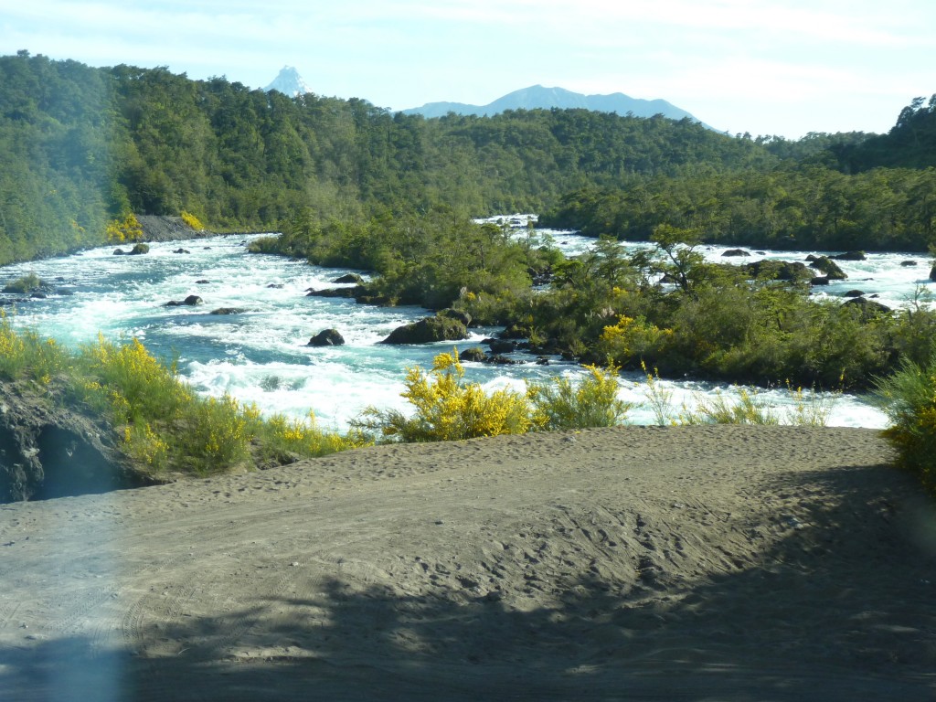 Foto: Parque Nacional Vicente Pérez Rosales. - Osorno (Los Lagos), Chile