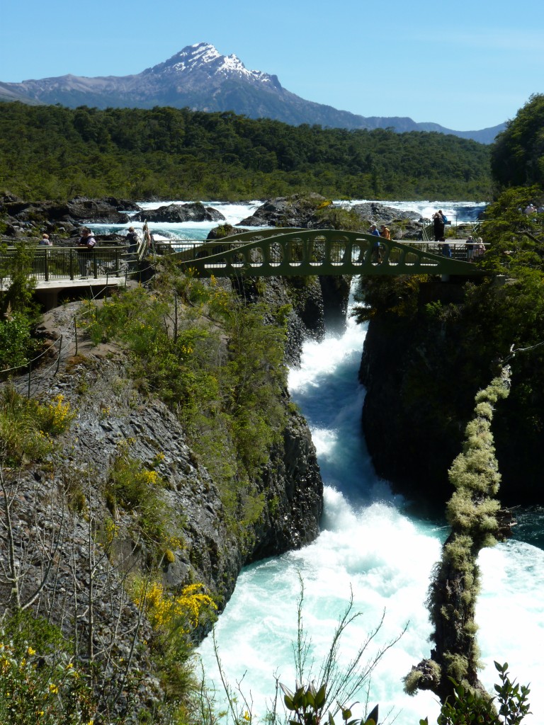 Foto: Parque Nacional Vicente Pérez Rosales. - Osorno (Los Lagos), Chile