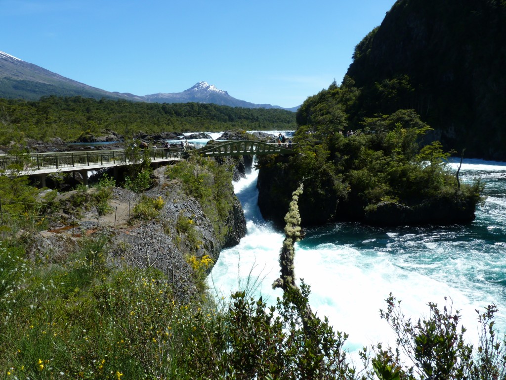 Foto: Parque Nacional Vicente Pérez Rosales. - Osorno (Los Lagos), Chile