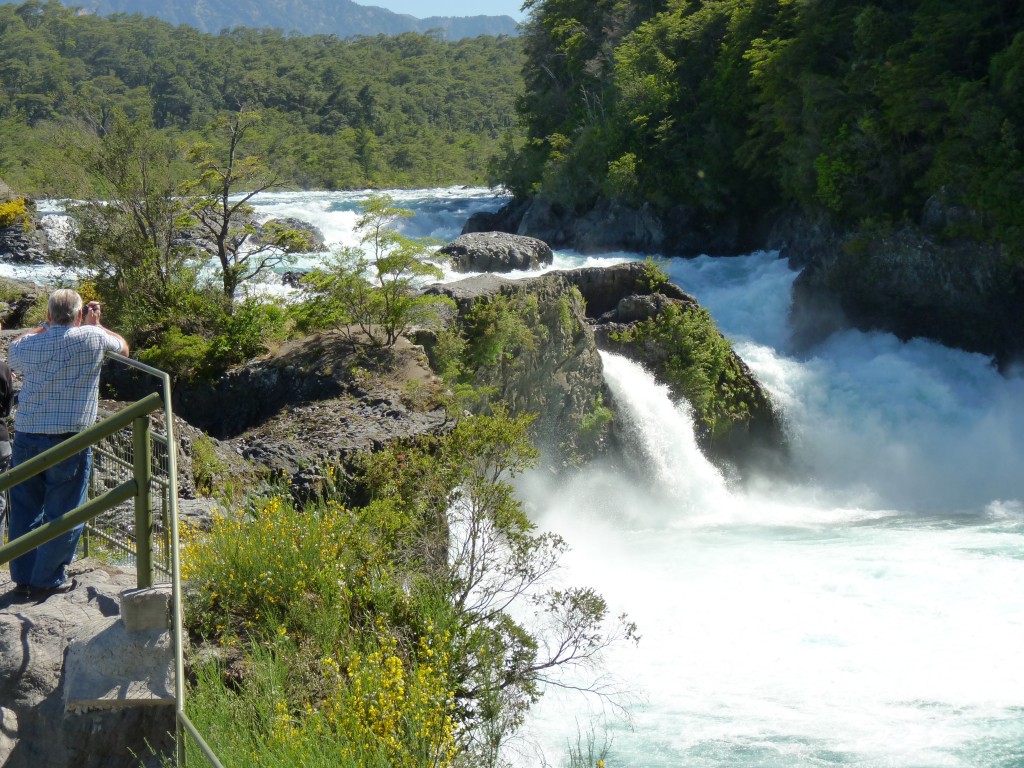 Foto: Parque Nacional Vicente Pérez Rosales. - Osorno (Los Lagos), Chile