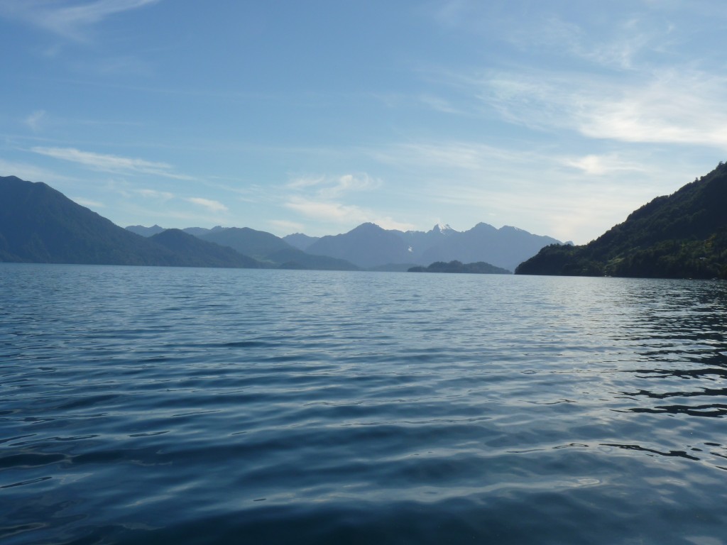 Foto: Parque Nacional Vicente Pérez Rosales. - Osorno (Los Lagos), Chile