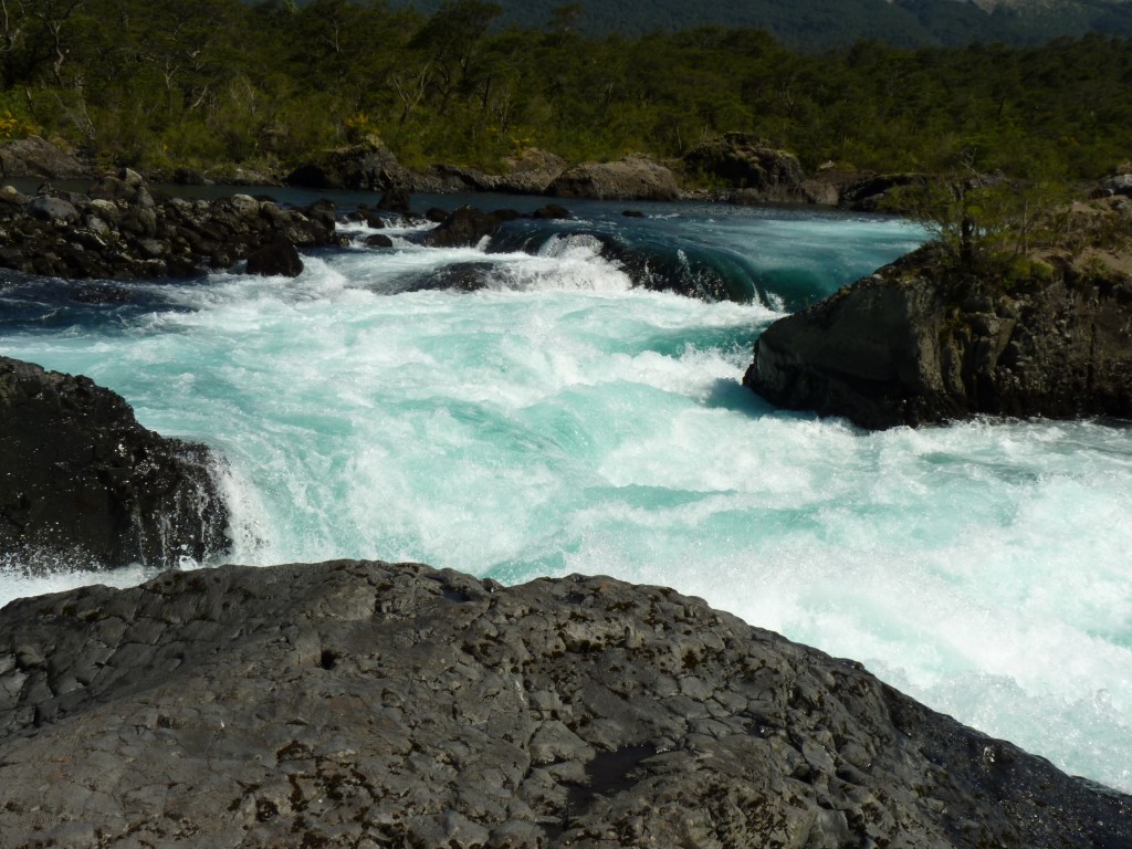 Foto: Parque Nacional Vicente Pérez Rosales. - Osorno (Los Lagos), Chile