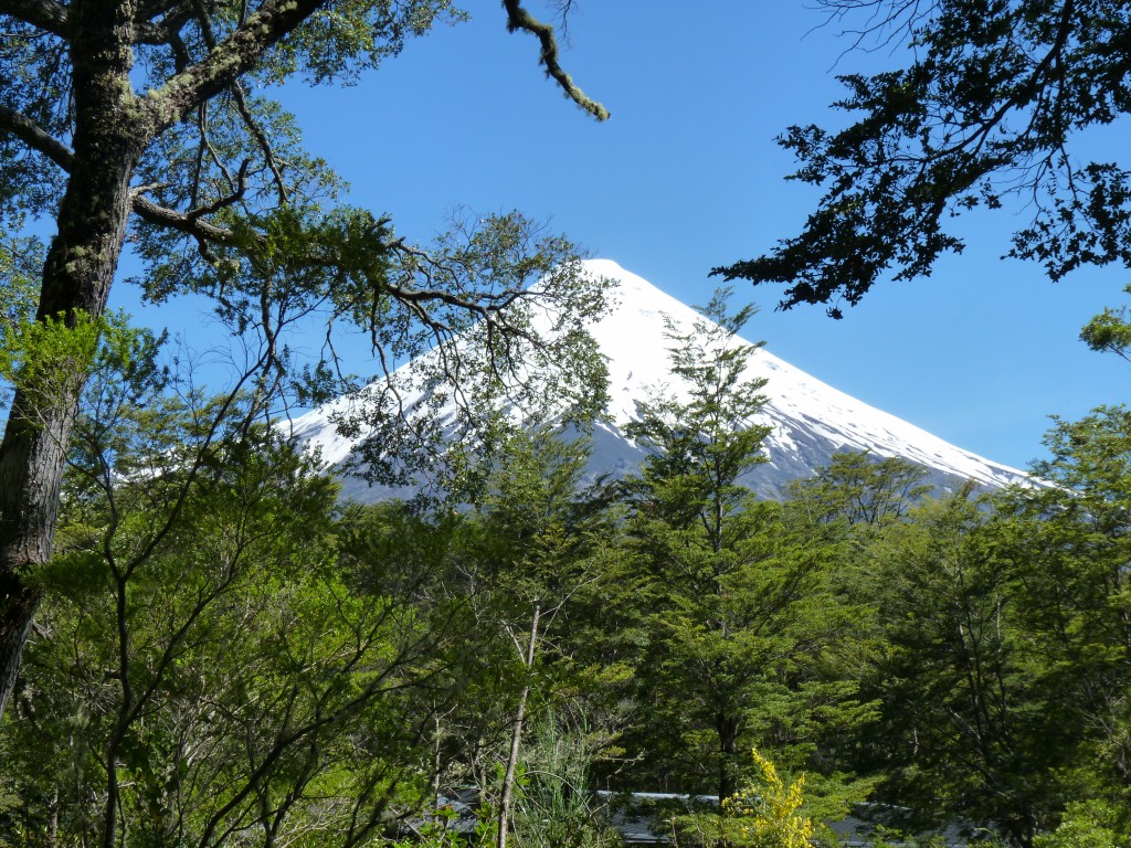 Foto: Parque Nacional Vicente Pérez Rosales. - Osorno (Los Lagos), Chile