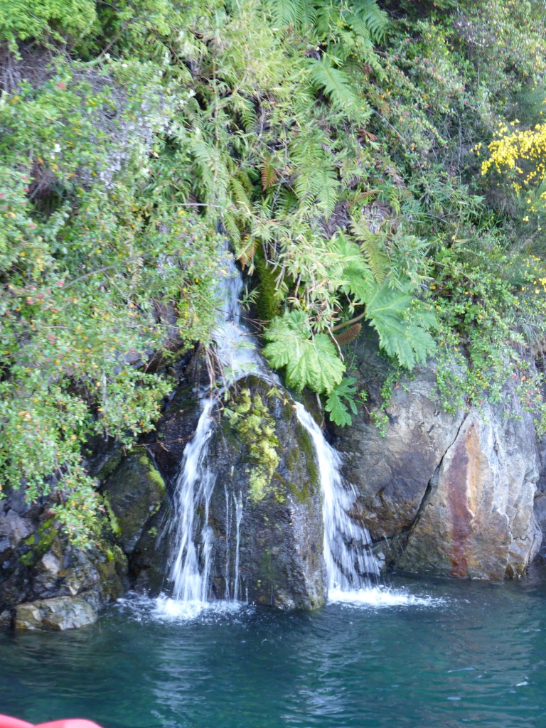 Foto: Parque Nacional Vicente Pérez Rosales. - Osorno (Los Lagos), Chile