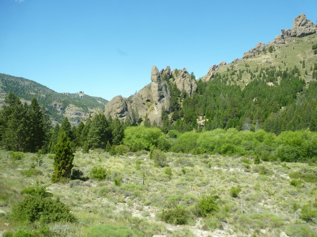 Foto: Bosque Encantado. - Alicurá (Neuquén), Argentina