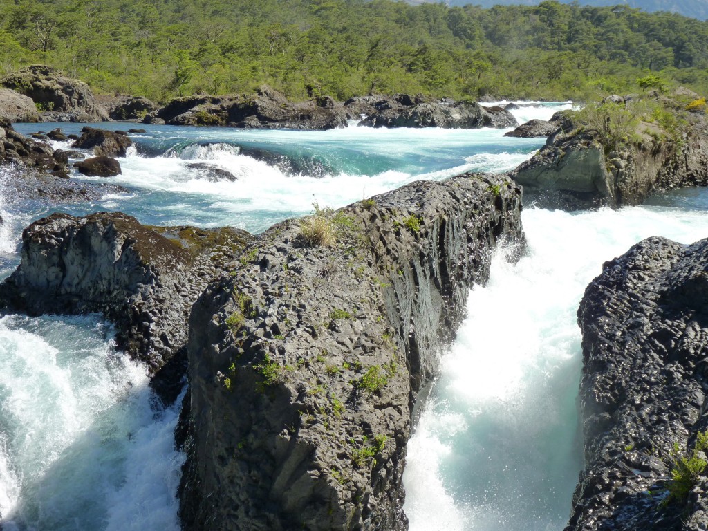Foto: Parque Nacional Vicente Pérez Rosales. - Osorno (Los Lagos), Chile