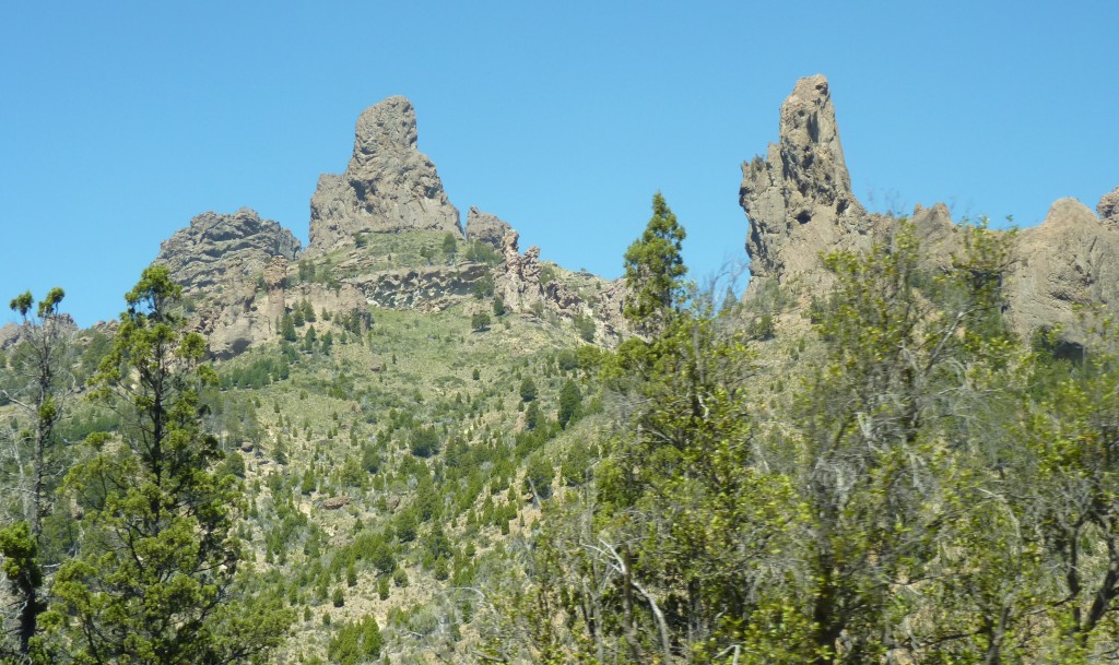 Foto: Bosque Encantado. - Alicurá (Neuquén), Argentina