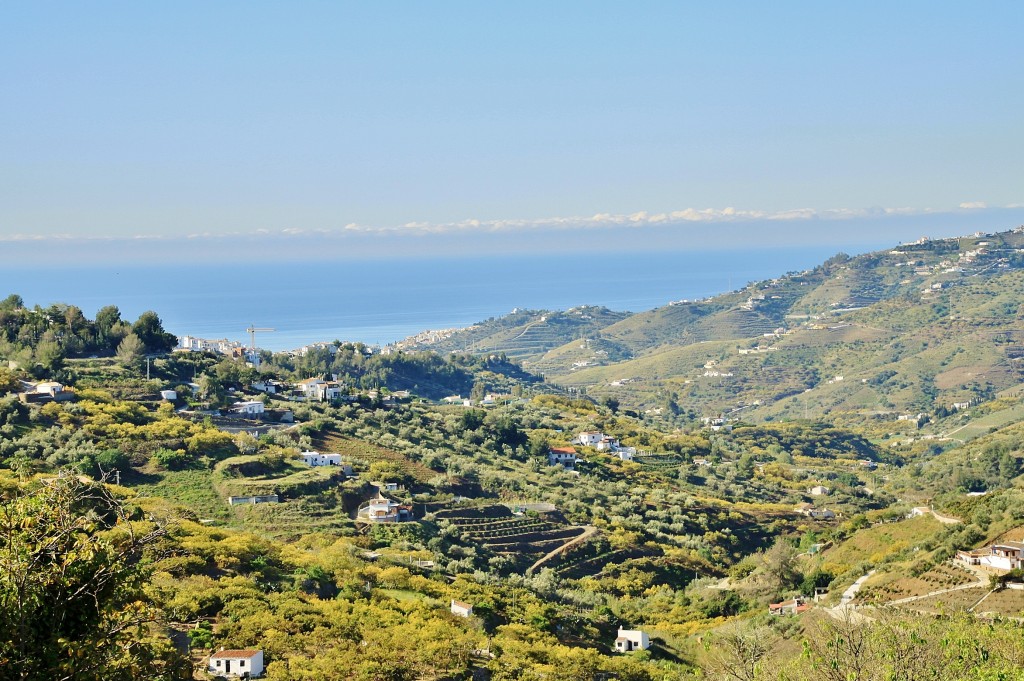 Foto: Paisaje - Frigiliana (Málaga), España