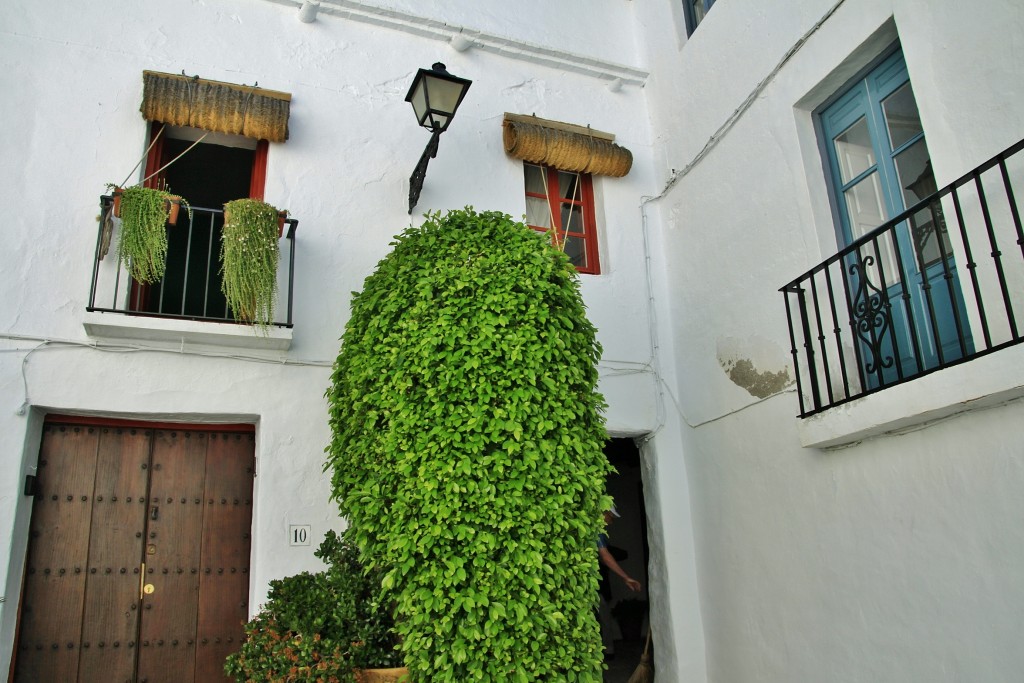 Foto: Centro histórico - Frigiliana (Málaga), España