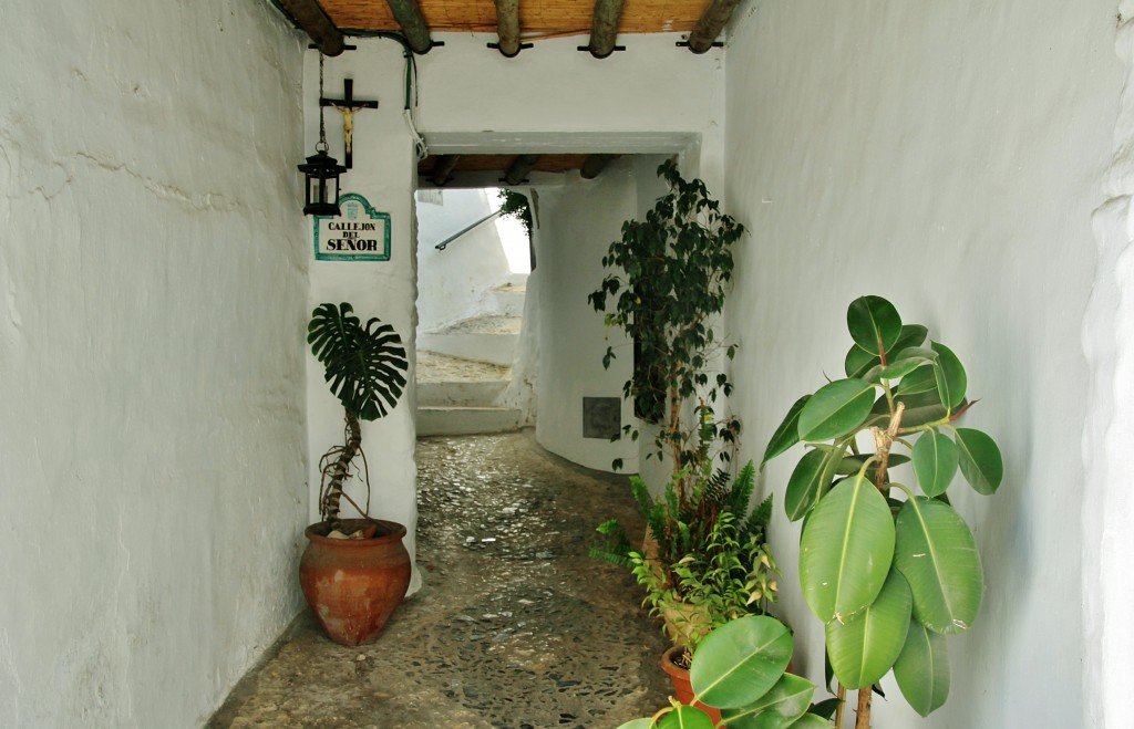 Foto: Centro histórico - Frigiliana (Málaga), España