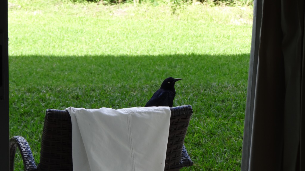 Foto: Hotel BlueBay Grand Esmeralda - Playa del Carmen (Quintana Roo), México