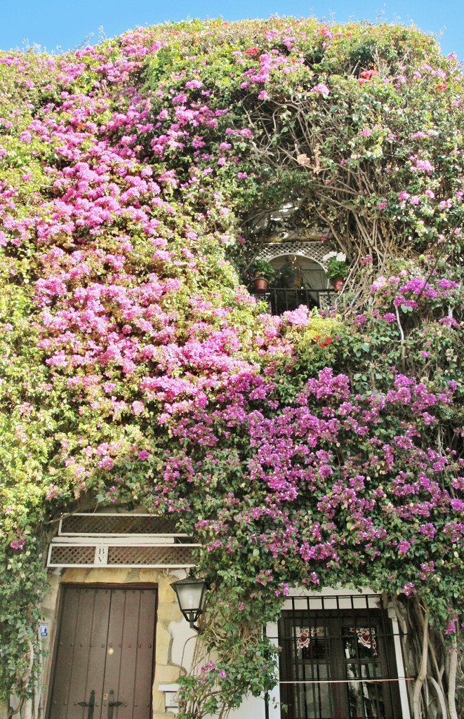 Foto: Centro histórico - Marbella (Málaga), España