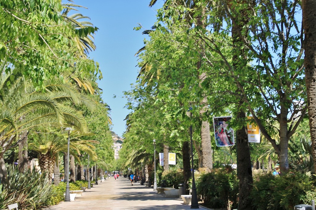 Foto: Paseo España - Málaga (Andalucía), España