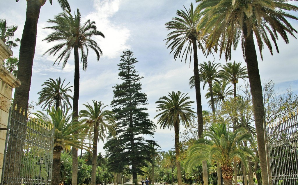 Foto: Parque Hernández - Melilla, España
