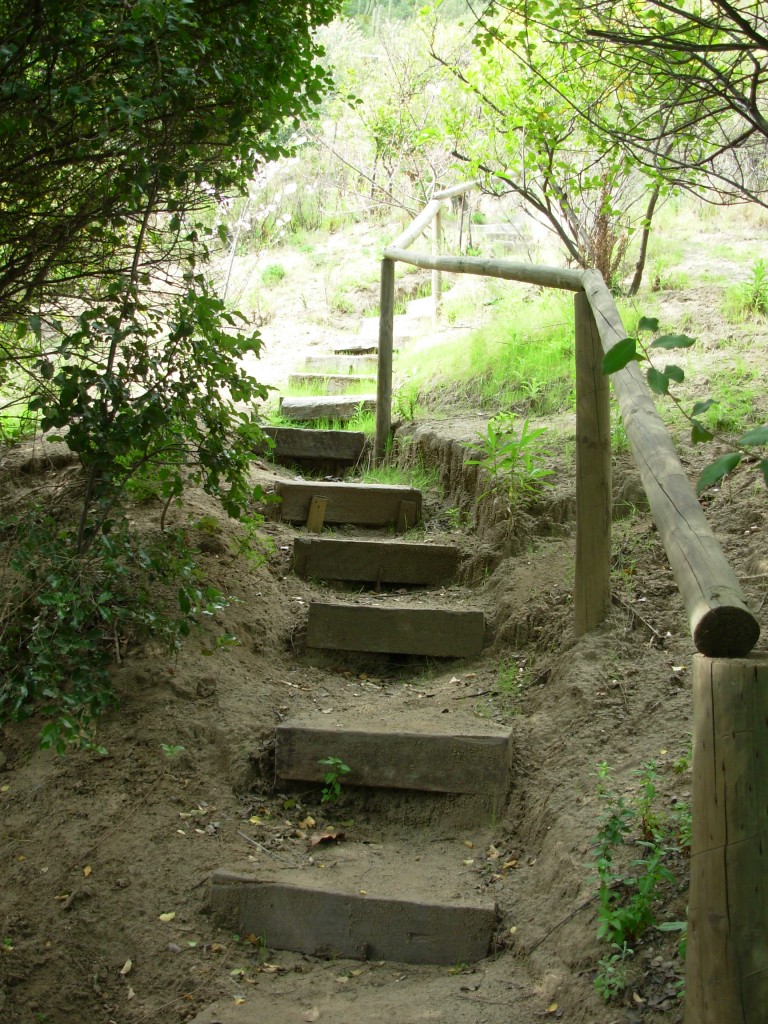 Foto: Sector LOs Bellotos,La Vega Olmue - Olmue (Valparaíso), Chile