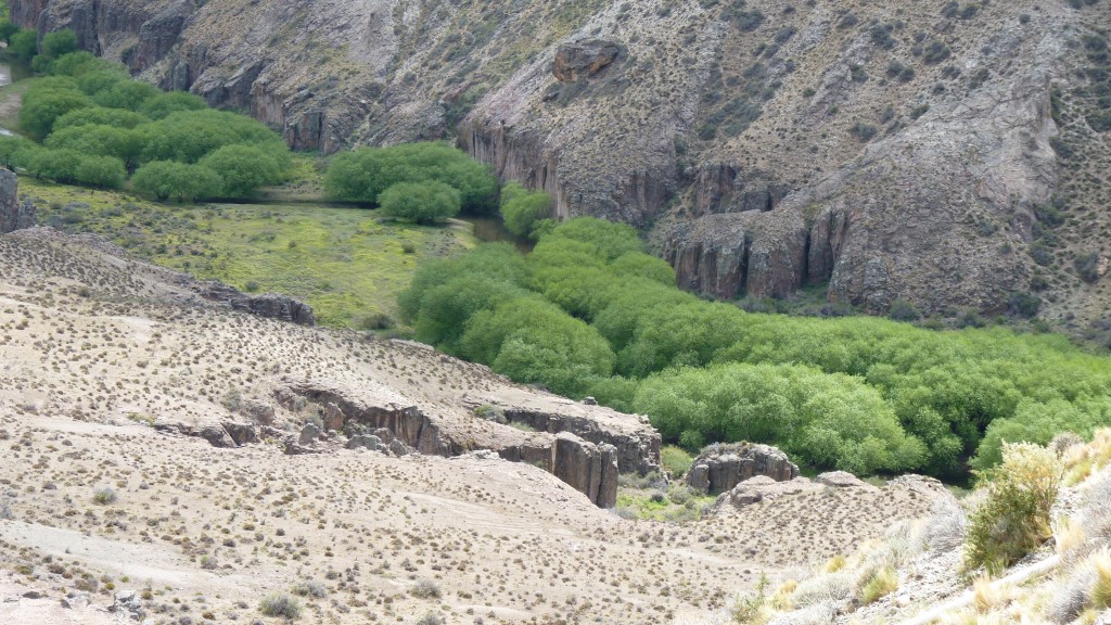 Foto: Cañadón del Río Pinturas. - Perito Moreno (Santa Cruz), Argentina