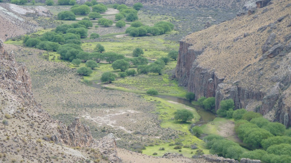 Foto: Cañadón del Río Pinturas. - Perito Moreno (Santa Cruz), Argentina