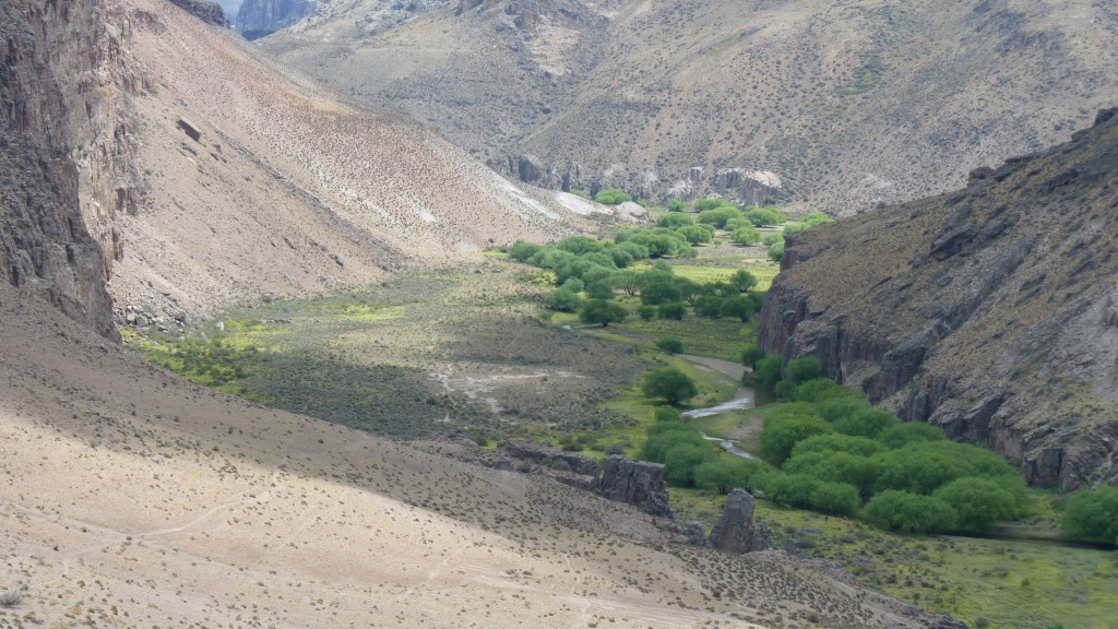 Foto: Cañadón del Río Pinturas. - Perito Moreno (Santa Cruz), Argentina