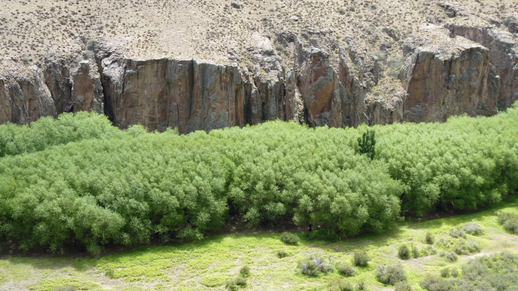 Foto: Cueva de las Manos, patrimonio de la humanidad. - Perito Moreno (Santa Cruz), Argentina
