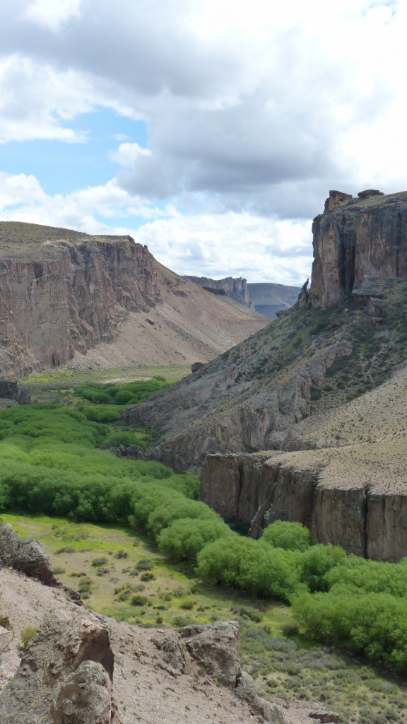 Foto: Cueva de las Manos, patrimonio de la humanidad. - Perito Moreno (Santa Cruz), Argentina