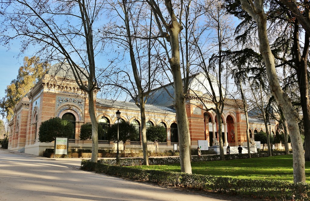 Foto: Parque del Retiro - Madrid (Comunidad de Madrid), España
