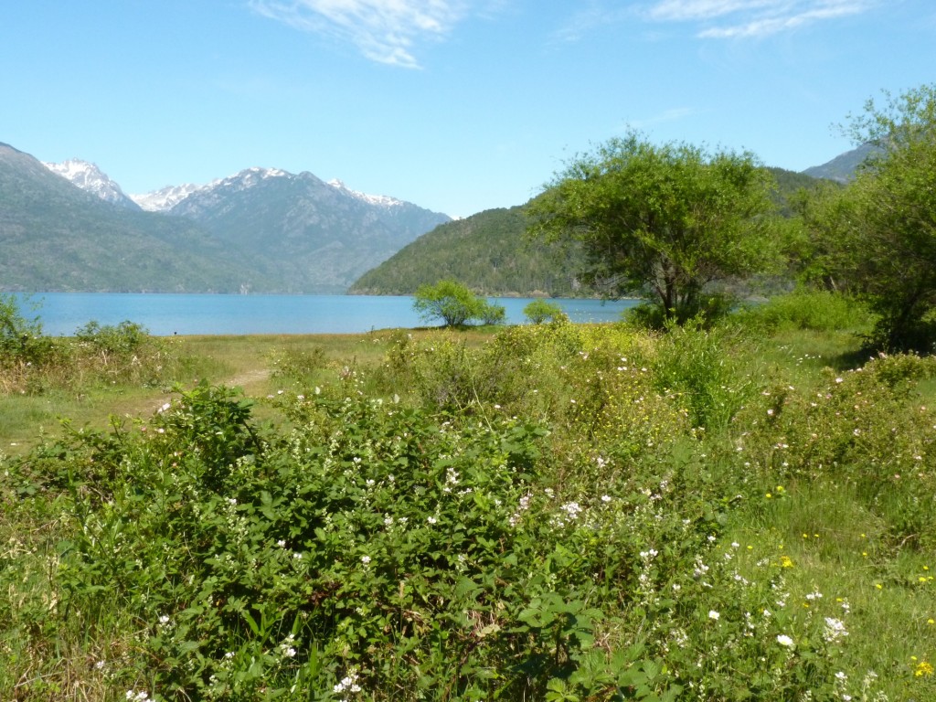 Foto: Parque Nacional Lago Puelo - Lago Puelo (Chubut), Argentina