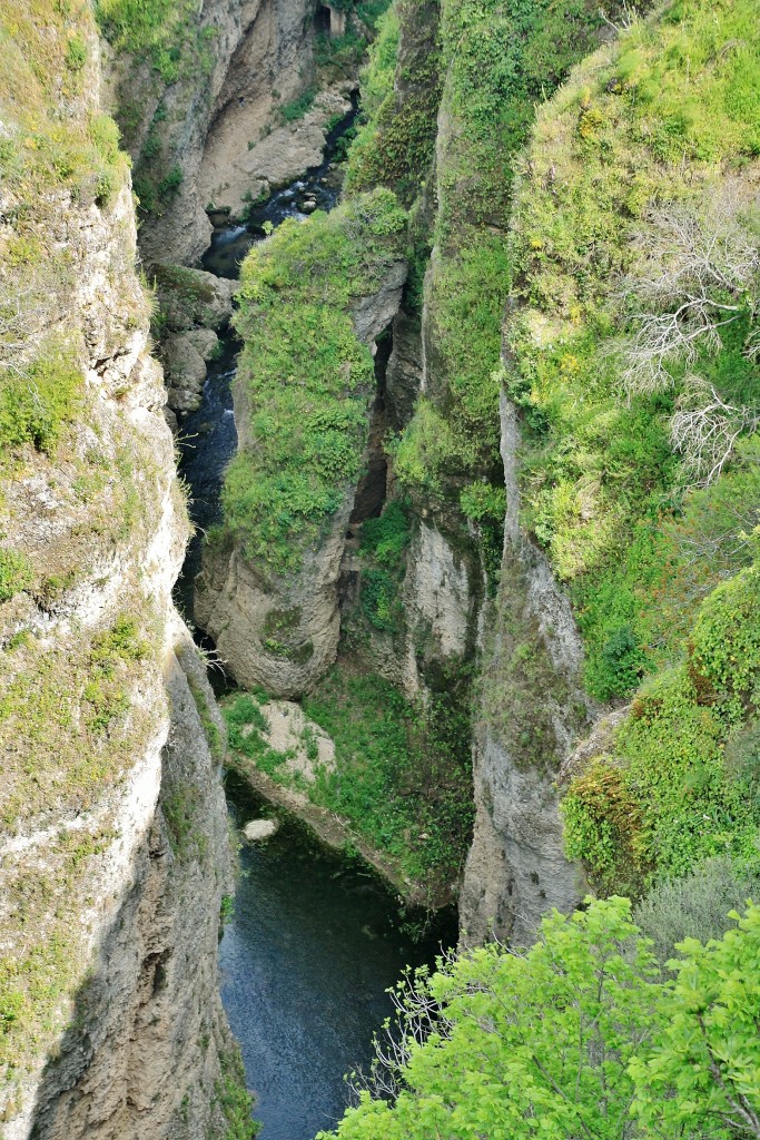 Foto: Rio Guadalevín - Ronda (Málaga), España