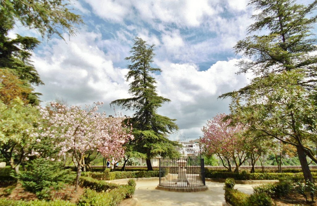 Foto: Alameda del Tajo - Ronda (Málaga), España
