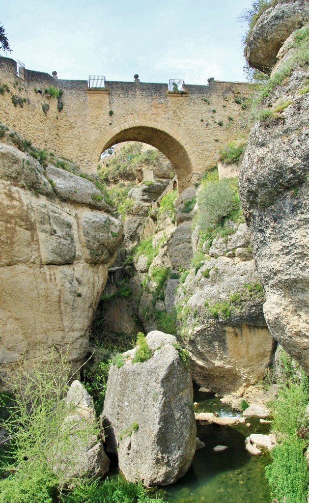 Foto: Puente Viejo - Ronda (Málaga), España
