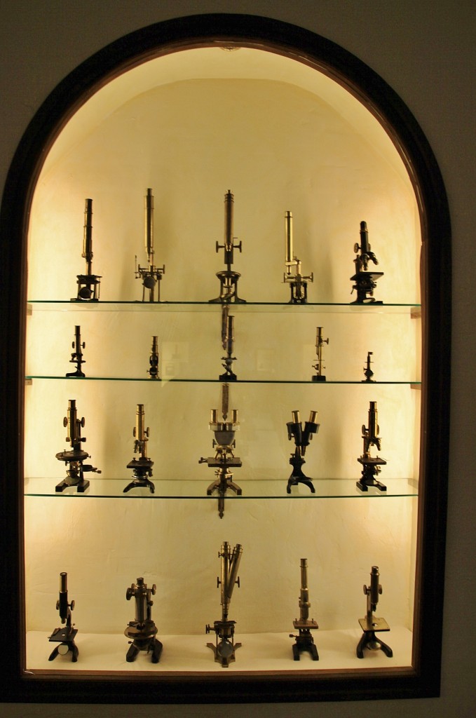 Foto: Museo Lara - Ronda (Málaga), España