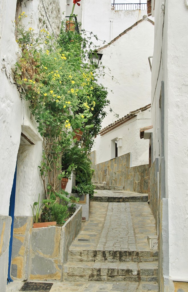 Foto: Centro histórico - Casares (Málaga), España