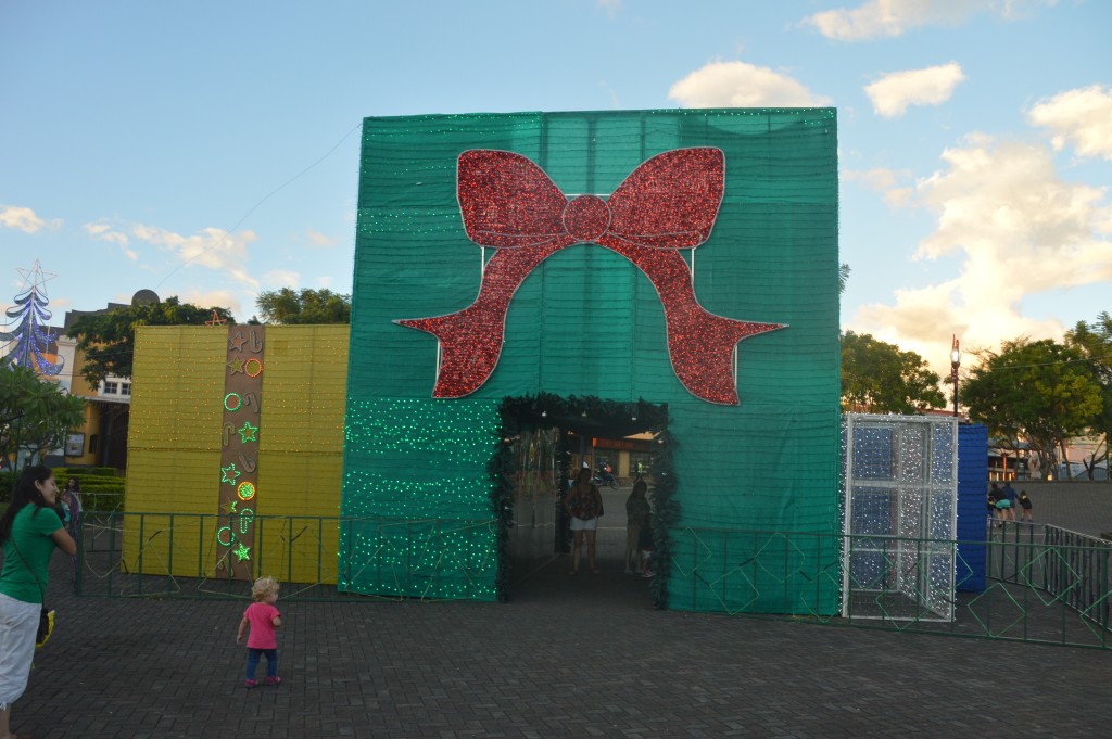 Foto: Navidad - Alajuela, Costa Rica