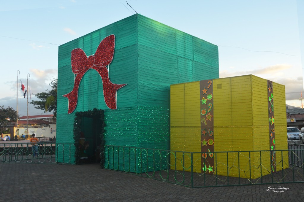 Foto: Navidad - Alajuela, Costa Rica