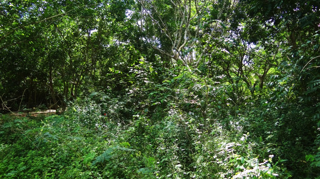 Foto: Yacimiento Arqueológico de Ek Balam - Ek Balam (Yucatán), México