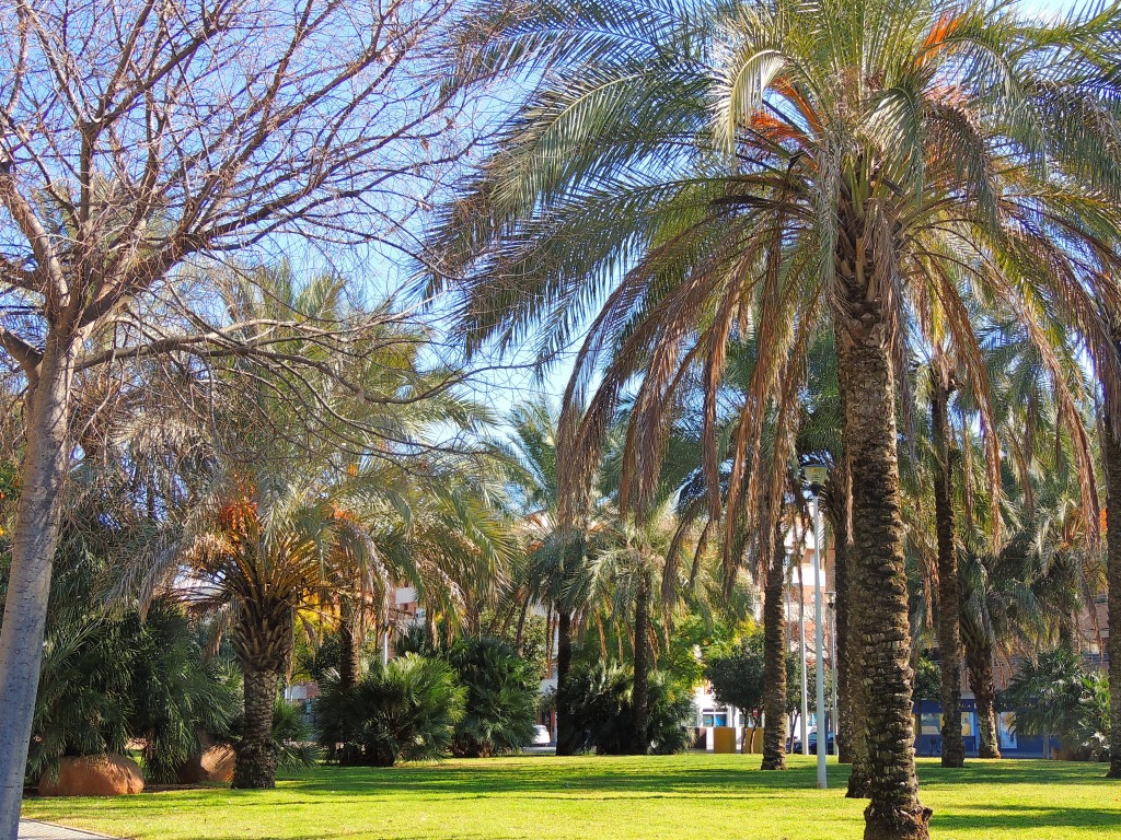 Foto de Córdoba (Andalucía), España