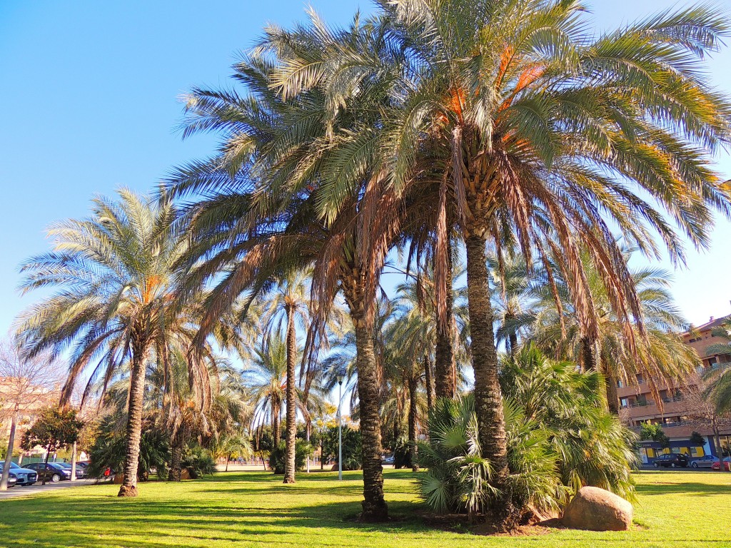Foto de Córdoba (Andalucía), España