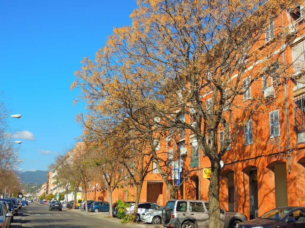 Foto de Córdoba (Andalucía), España