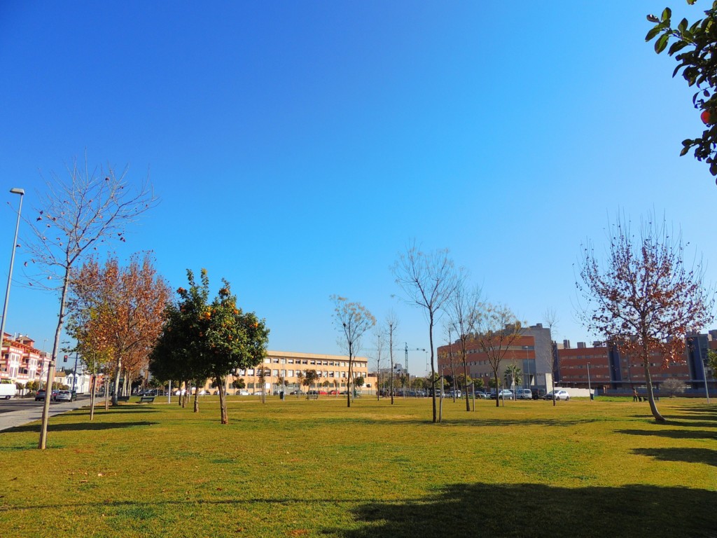 Foto de Córdoba (Andalucía), España