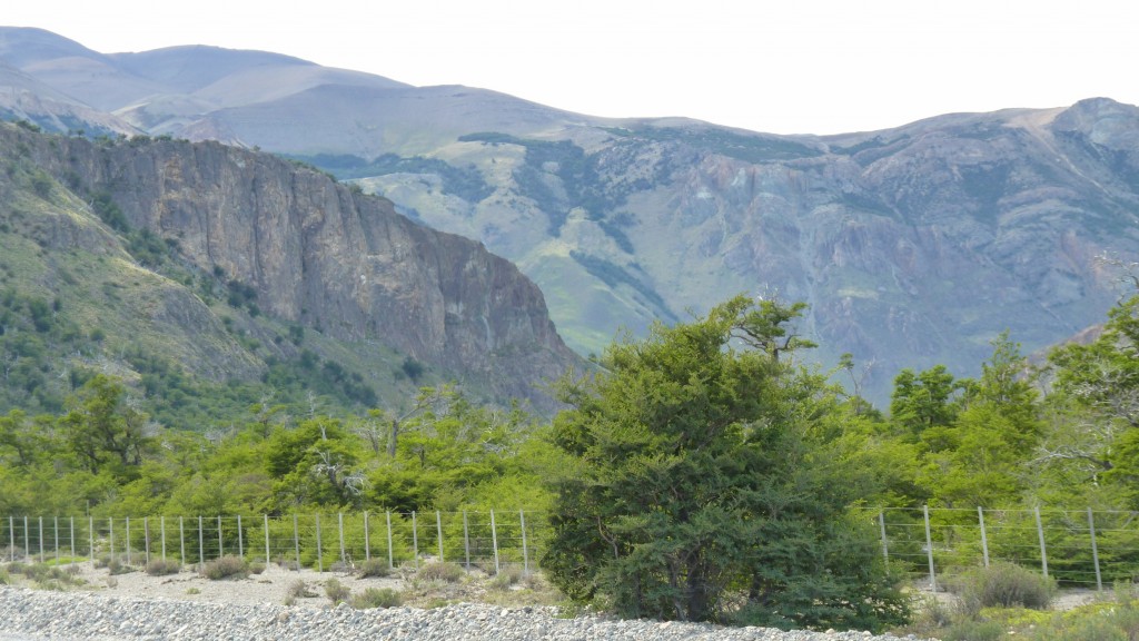 Foto de El Chaltén (Santa Cruz), Argentina