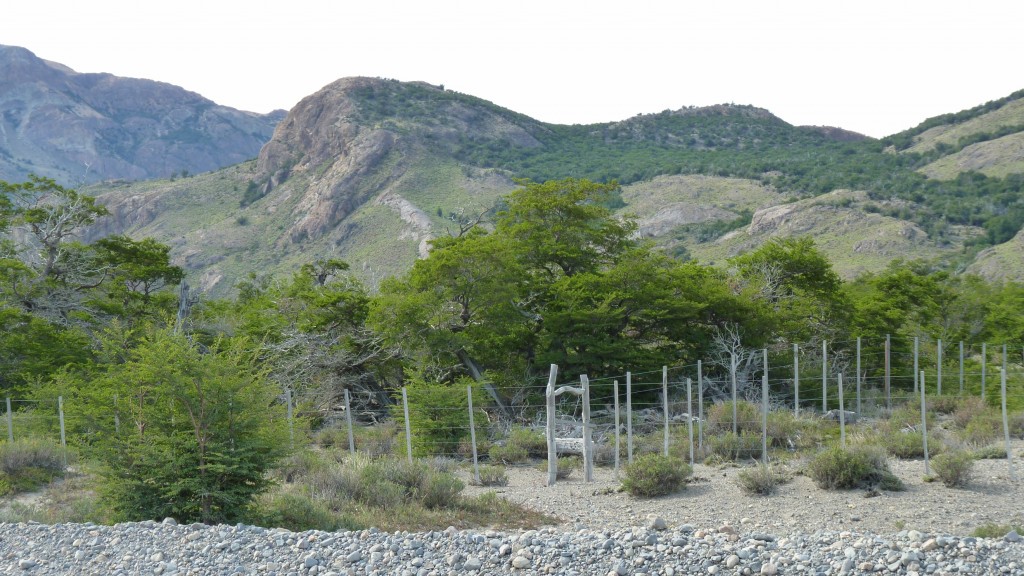 Foto de El Chaltén (Santa Cruz), Argentina