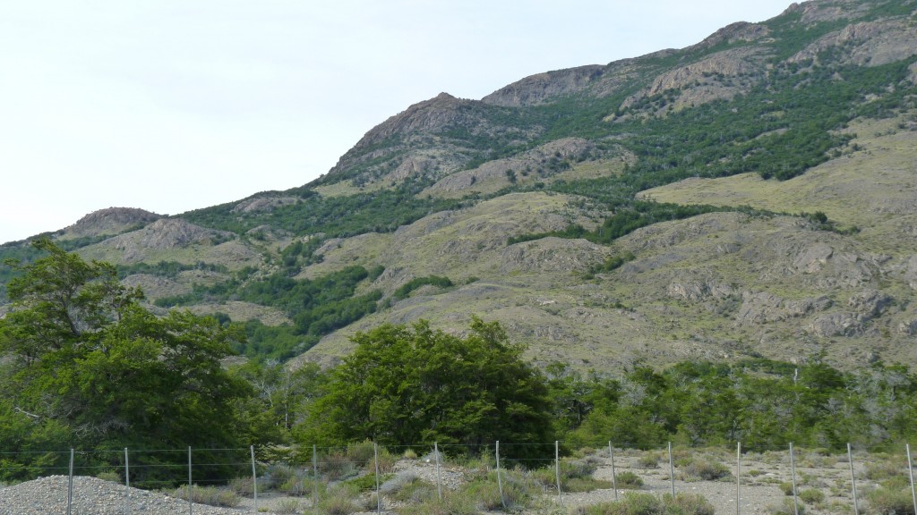 Foto de El Chaltén (Santa Cruz), Argentina