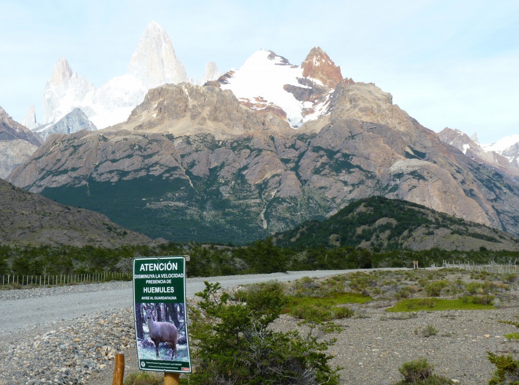 Foto de El Chaltén (Santa Cruz), Argentina