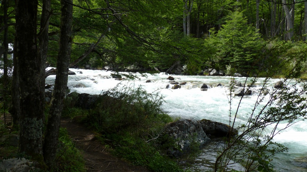 Foto: Camino al Lago del Desierto - El Chaltén (Santa Cruz), Argentina