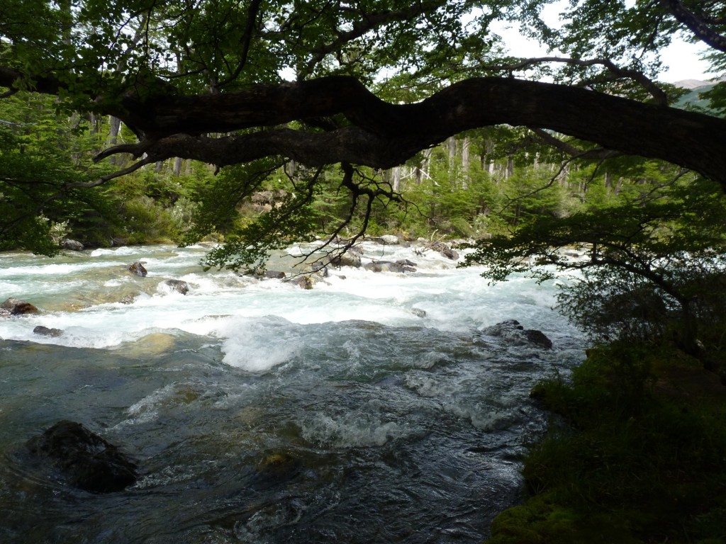 Foto: Río de las Vueltas. - El Chaltén (Santa Cruz), Argentina