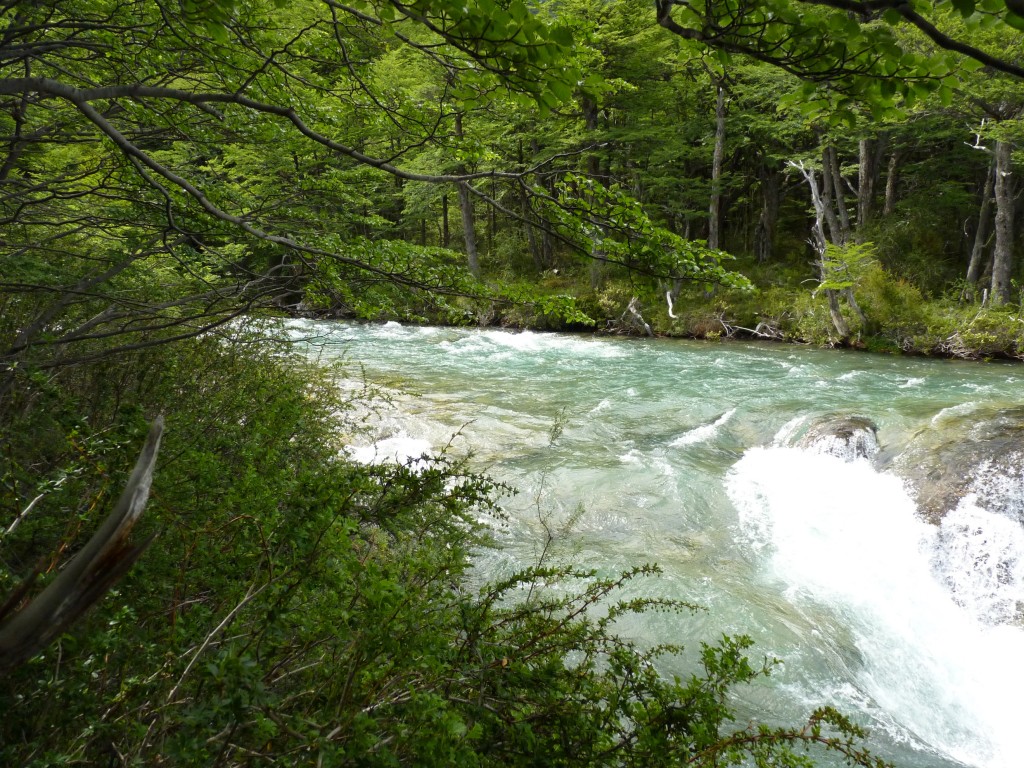 Foto: Cascada Argentina - El Chaltén (Santa Cruz), Argentina