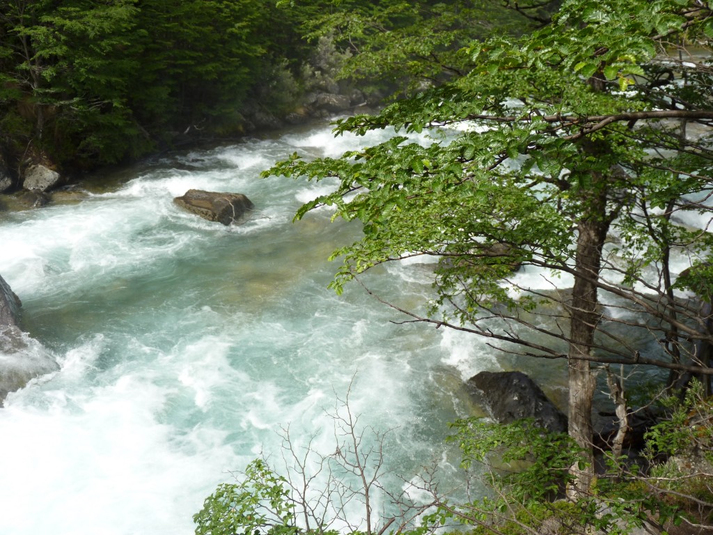 Foto: Cascada Argentina - El Chaltén (Santa Cruz), Argentina