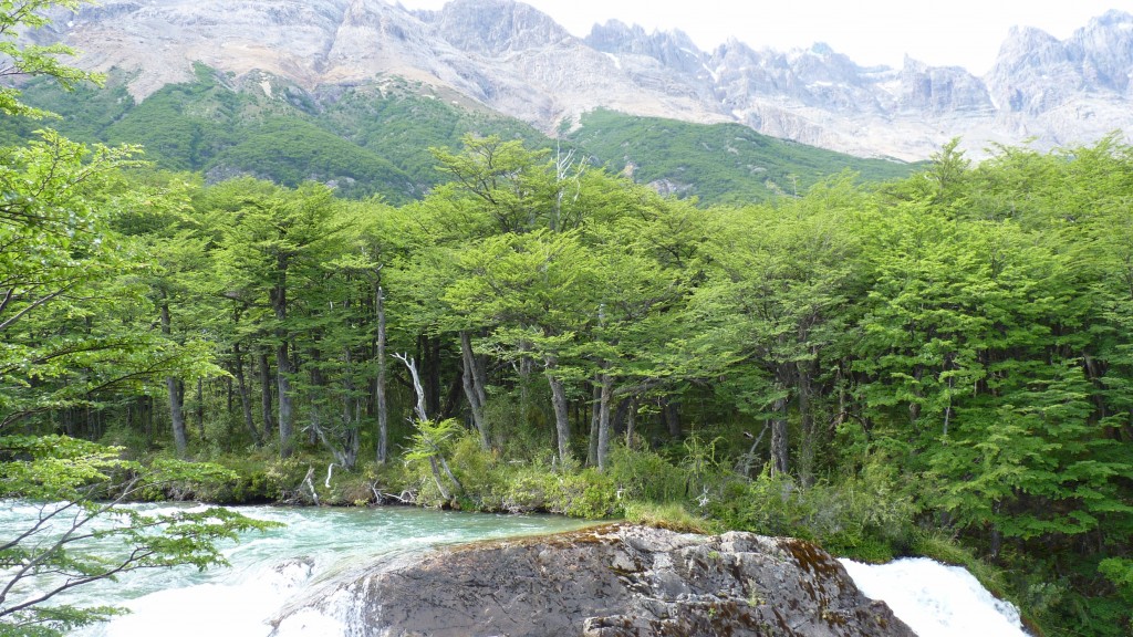 Foto: Cascada Argentina - El Chaltén (Santa Cruz), Argentina