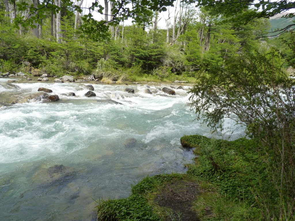 Foto: Río de las Vueltas. - El Chaltén (Santa Cruz), Argentina