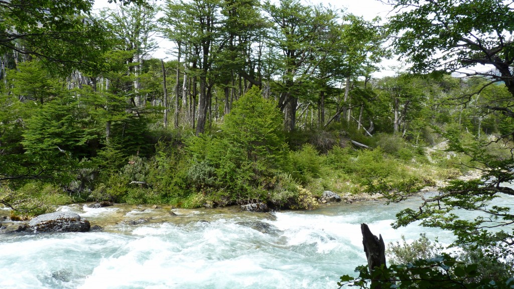 Foto: Río de las Vueltas. - El Chaltén (Santa Cruz), Argentina